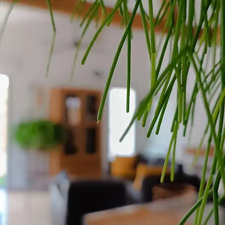 Hotel Lumineuse Maison Proche Du Bassin D'arcachon Gujan-Mestras